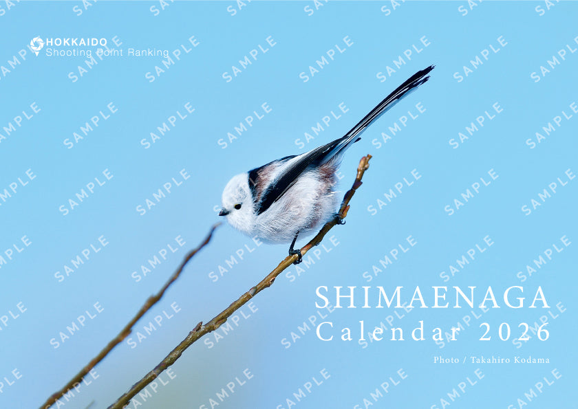 シマエナガ 2026年カレンダー