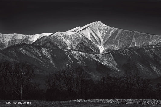菅原一剛 写真展